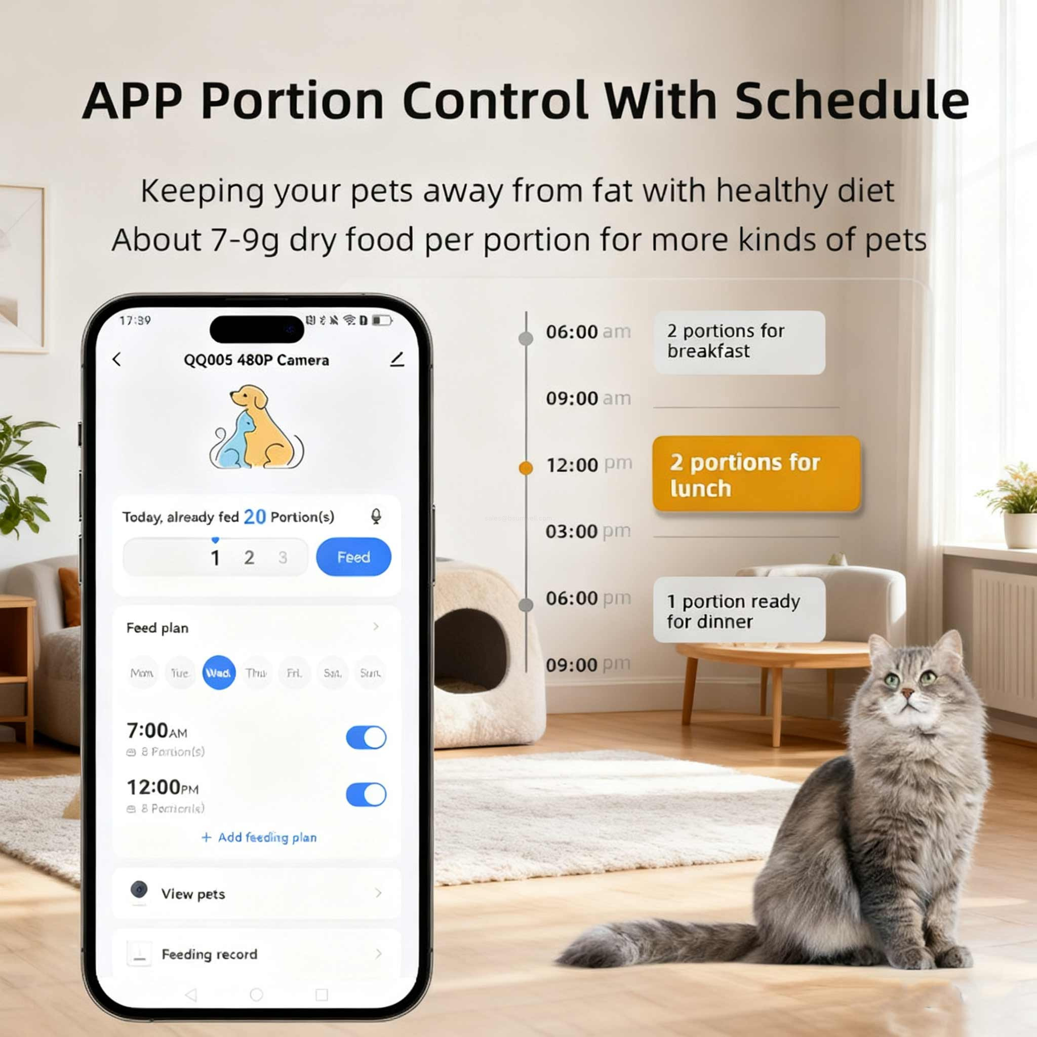 automatic cat feeder
