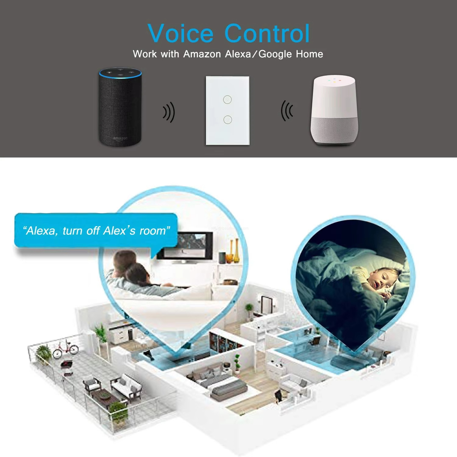 Voice Control Work with Amazon Alexa/Google Home