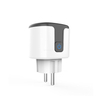 Voice Control Energy Monitoring Plug