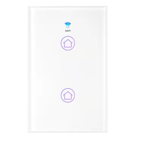 US Smart Switch 2 Gang No Neutral & With Neutral Tuya Smart Home Remote Control Switch 