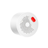 Tuya System Control Home Security Wireless WIFI Smart Natural Gas Leak Detector Remote Household Gas Sensor