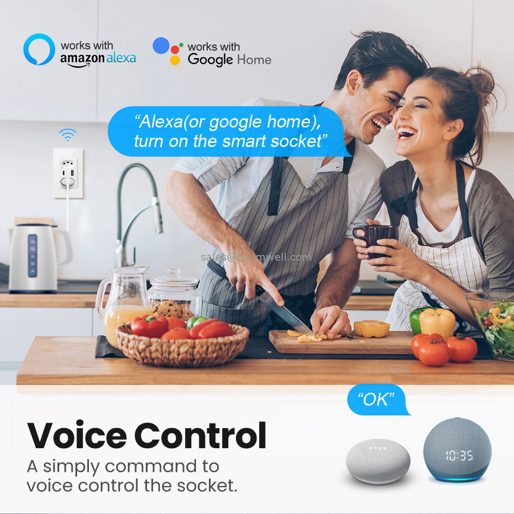 Brazil Smart Power Socket Plug Wifi Tuya Smart Wall Socket Type C Work With App Alxa Google Home
