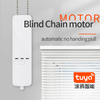 Alexa Google Smart Life App Remote Control Motorized Roller Zebra Blinds Curtain Chain Motor Smart Curtain Venetian Minimalist