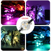 Outdoor Smart Wifi Control Christmas Holiday Led String Pixel Point Lights