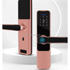 Password Keyless Apartment Room Lock Tuya APP Digital Door Locks smartlocks