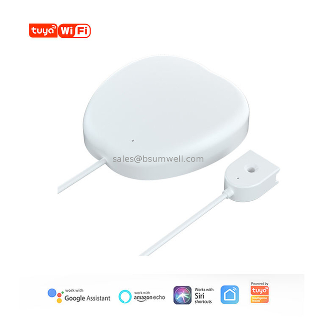 Tuya Wifi Smart Home Water Immersion Sensor APP Buzzer Alarm Water Level Sensor Water Leakage Alarm