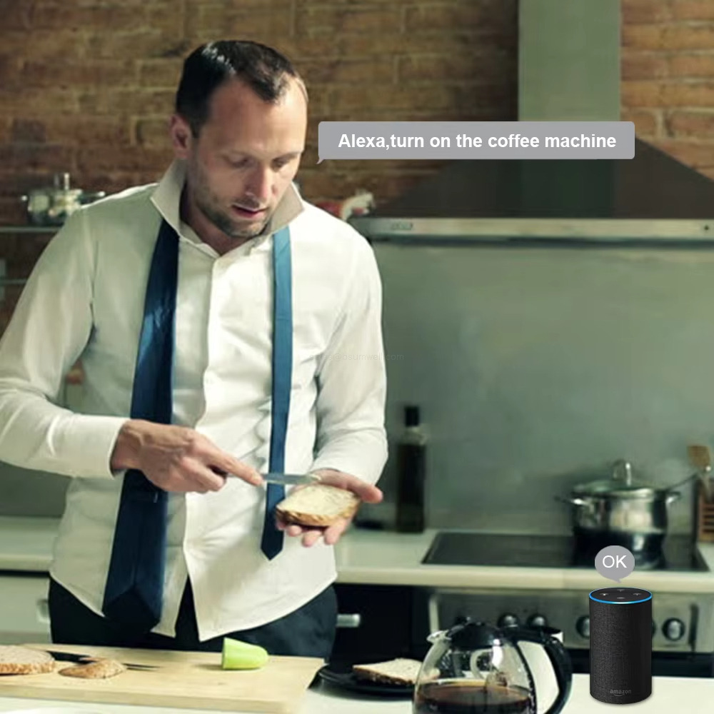 with Energy Monitor 20a 16a Esp Series Module Firmware Custom Smart Home Devices