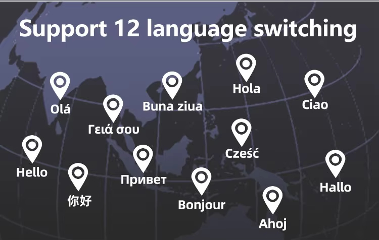 Support 12 language switching