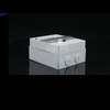 transparent cover UK MCB enclosure