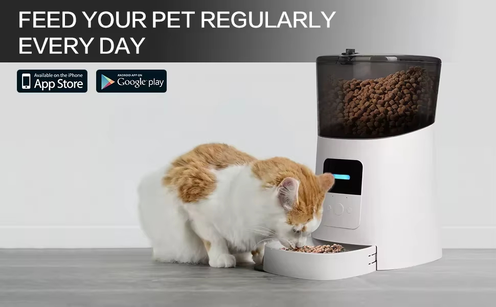 FEED YOUR PET REGULARLYEVERY DAY