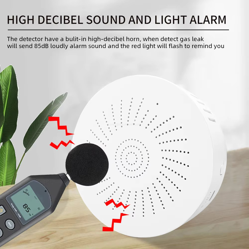 HIGH DECIBEL SOUND AND LIGHT ALARM