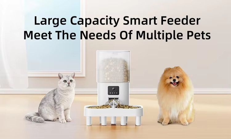 Large Capacity Smart FeederMeet The Needs of Multiple Pets