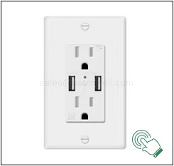 Alexa Google Compatible US Outlet