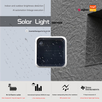 Latest Solar Powered Light Sensor Smart Brightness Detector IP65 Waterproof Outdoor Indoor Illuminance Meter with Texas Instruments IC