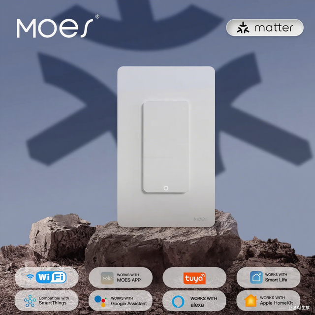 Multi-Gang Matter Smart Switch with Timer