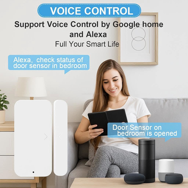 Gateway-Free Door Sensor