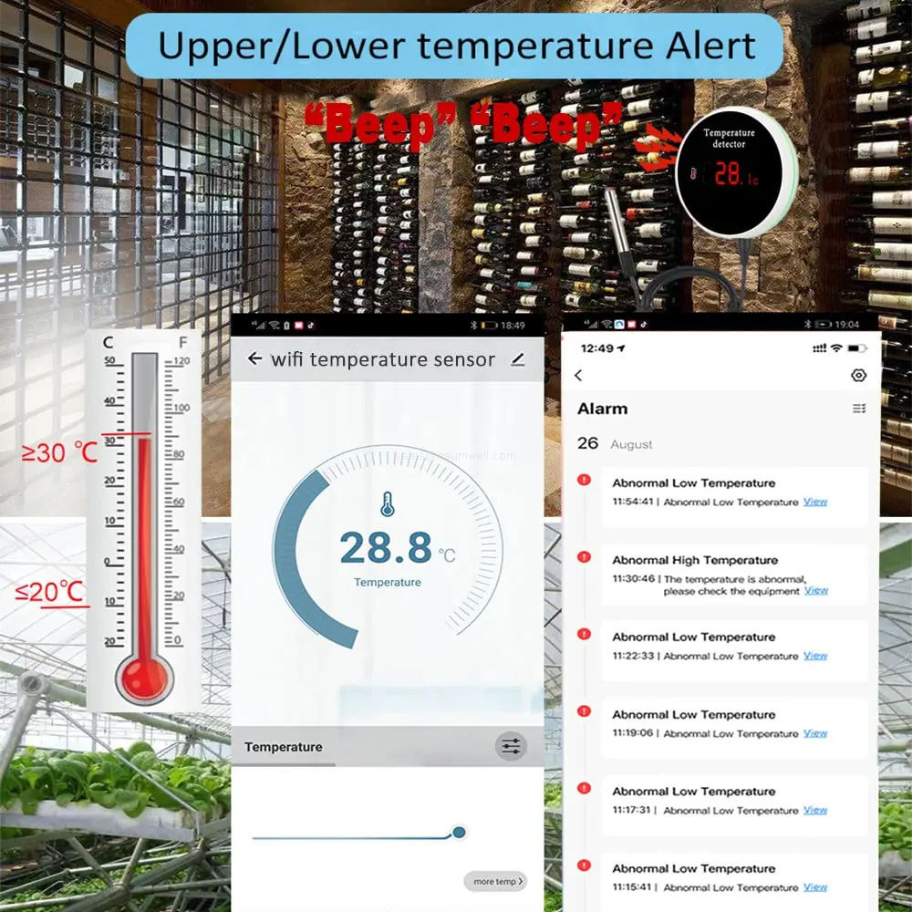 Smart aquarium temperature monitor