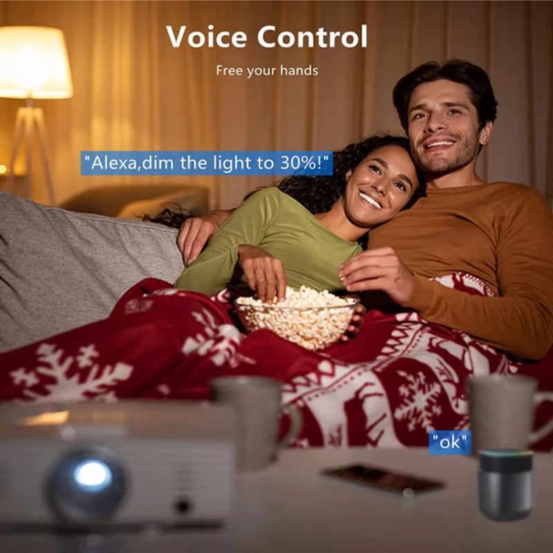 Voice Control with Alexa Free your hands