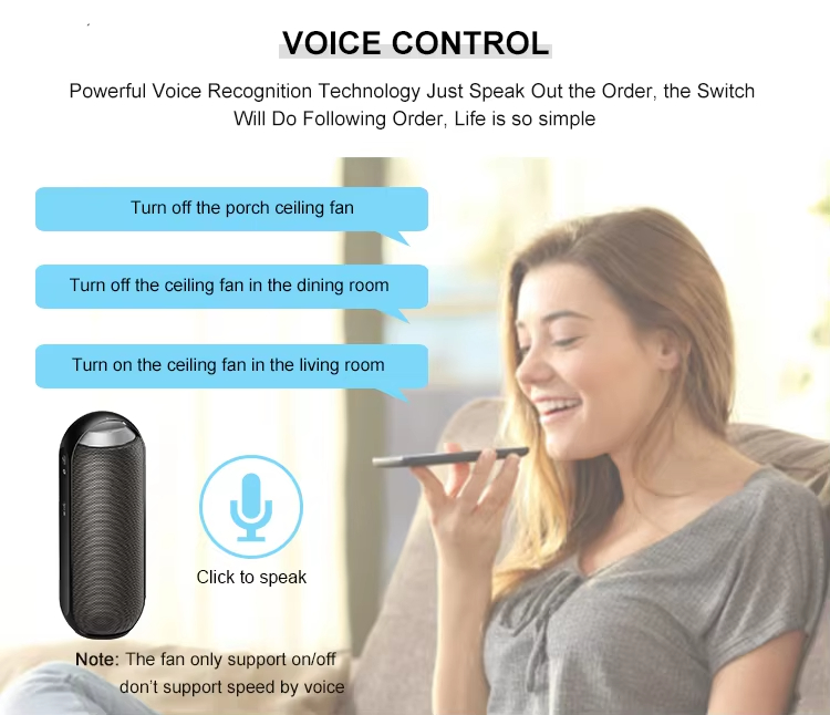 VOICE CONTROL Powerful Voice Recognition Technology Just Speak Out the Order, the SwitchWill Do Following Order, Life is so simple