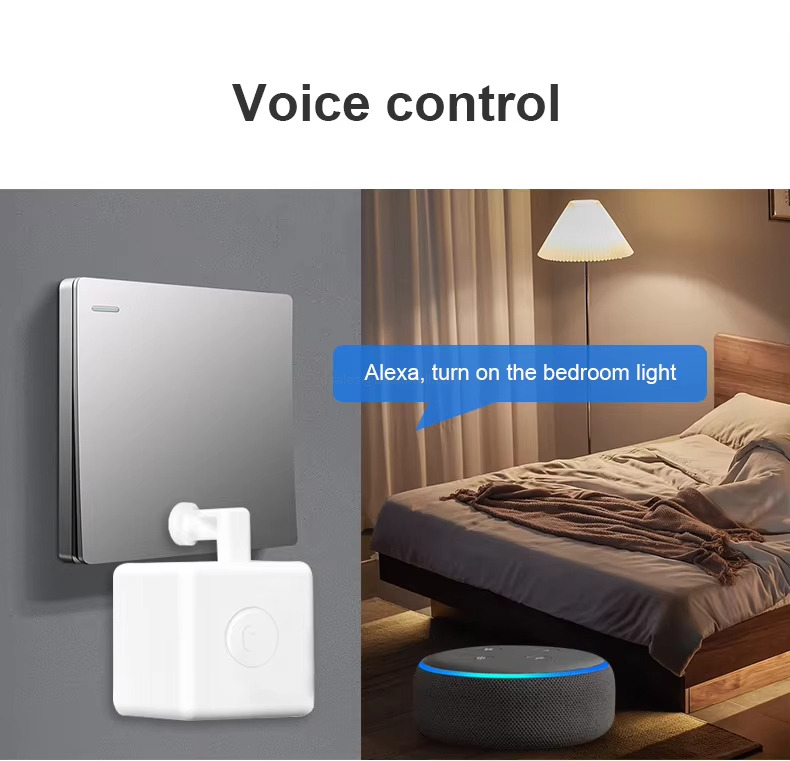 Voice control