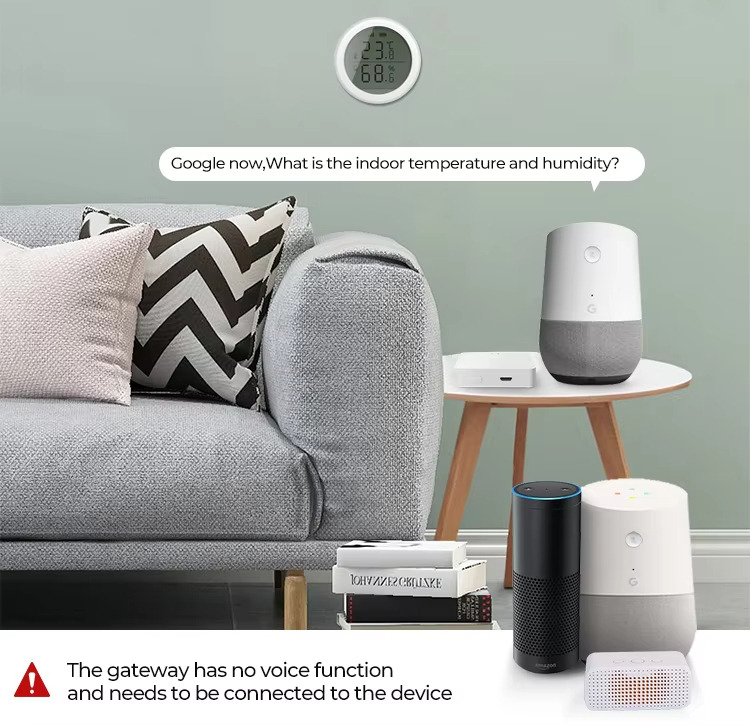 The gateway has no voice functionand needs to be connected to the device