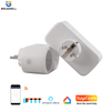 Newest 16A 2Pin Round European Standard Electric Power Wifi Smart Plug