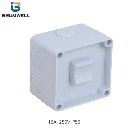 WSC Series Surface Mounted AU IP53 Switch Socket 10A 15A Power Dual Plug with Independent Switch